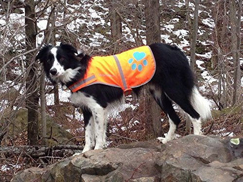Reflective Dog Vest. Hi-Visibility, Fluorescent Blaze Orange Dog Vest Helps Protect Your Best Friend. Safeguard Your PUP from Motorists & Hunting Accidents, On or Off Leash. (Med) Medium - PawsPlanet Australia