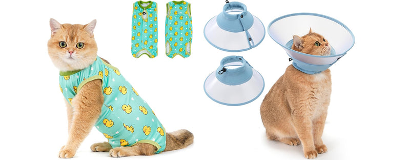 Avont Cat Recovery Suit - Kitten Onesie for Cats After Surgery Bundle with Adjustable Cat Cone Collar - M