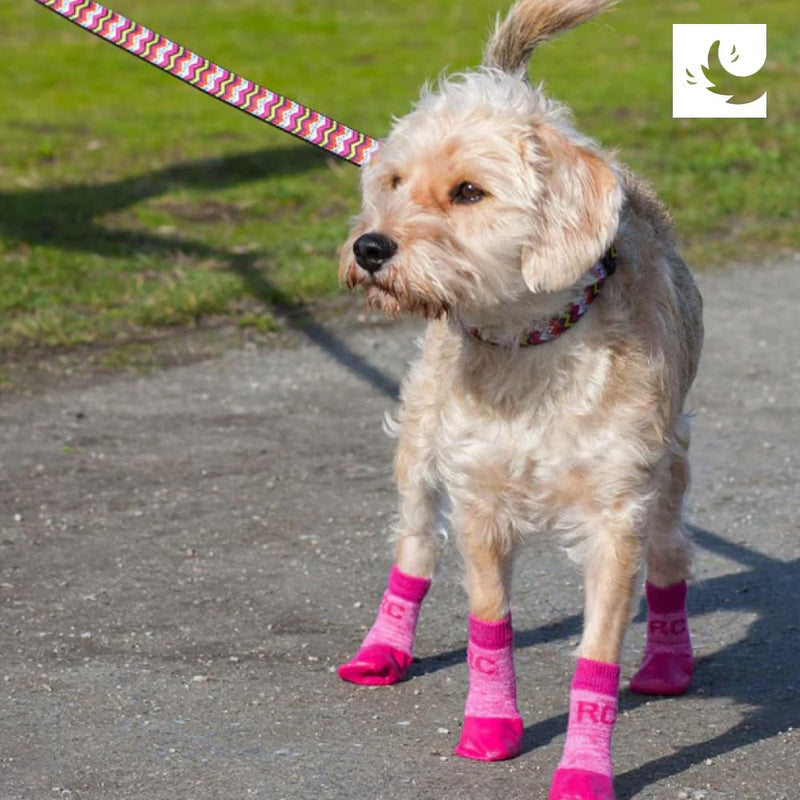 RC Pet Products Sporty PAWks Anti-Slip, Stylish, Functional, Protective Dog Socks | X-Small, Electric Blue/Cyan - PawsPlanet Australia