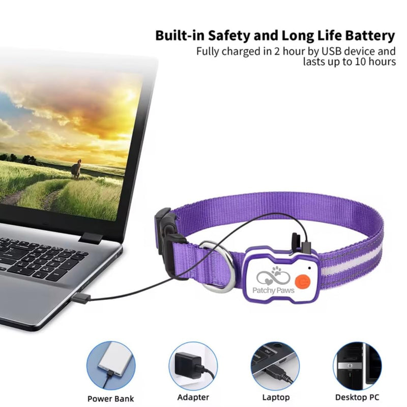 Matching LED Dog Collar & Lead Set – Rechargeable USB-C Light-Up Leash & Glow-in-the-Dark Collar for Night Walks – Durable, Waterproof, Adjustable, Stylish (Purple)
