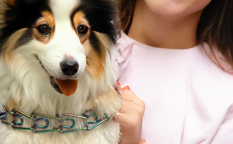 No Pull Dog Collar Dog Training Collar for Small Medium Large Dogs (Rainbow Color, M) Rainbow Color - PawsPlanet Australia