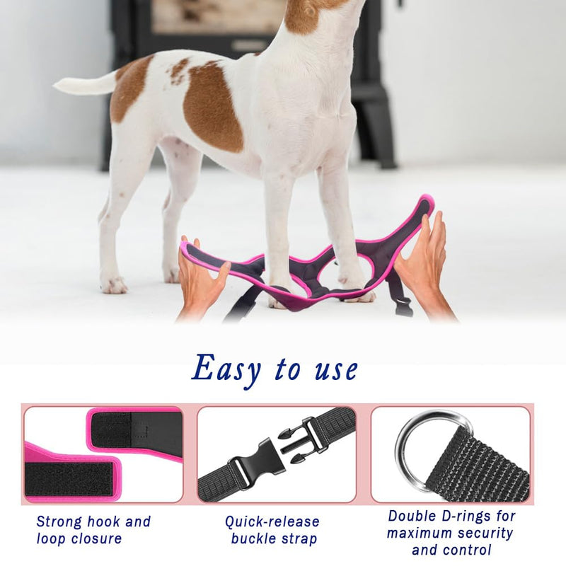 Comfort Fit Dog Harness Soft Padded No Pull Harness with Adjustable Buckles for Small Medium Large Dogs Step in Pet Vest with Easy Control Handle for Walking Jogging Running Training Dogs & Puppies S (Chest 14.5"-17") Pink - PawsPlanet Australia