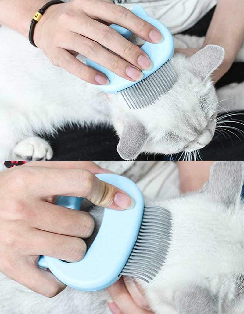 2 Pcs Cat Combs, Soft Fine Teeth Cat Hair Comb Pet Massage Comb, Short Long Hair Removal Massage Cat Shell Comb, Dog Cat Deshedding Brush Grooming Comb for Shedding Matted Fur, Knots & Tangles (blue) blue - PawsPlanet Australia