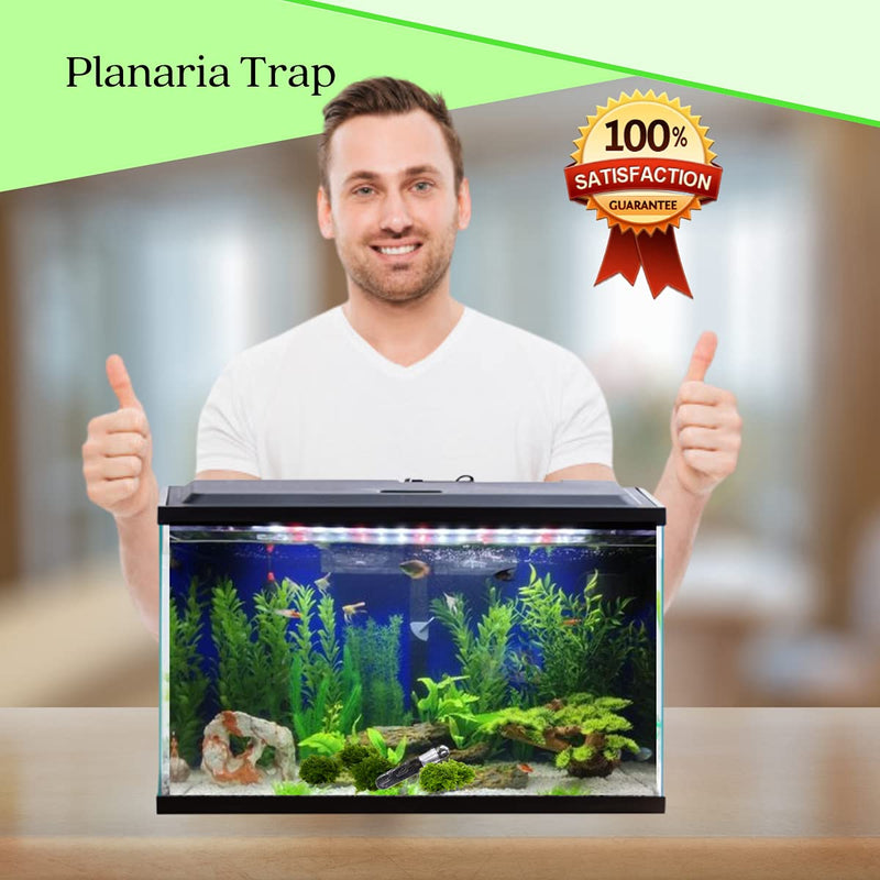 Planaria Trap Crystal Red Shrimp Tank Aquarium Bristle Worm Catcher, Shrimp Dwarf Shrimp Ghost Shrimp Live Freshwater Cleaning Supplies Clear Glass Leeches Catching Tube (3 Holes) - PawsPlanet Australia