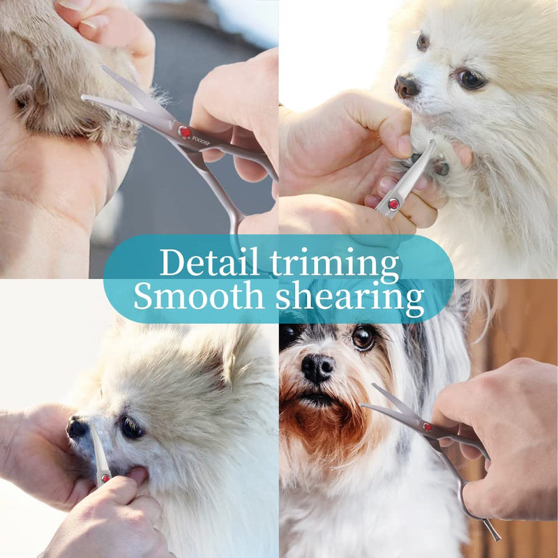 4.5" Curved Dog Scissors for Grooming Face and Paws with Safety Round Tip for Small Dogs Face Paw Ears Trimmer Professional Small Cat Grooming Shears (4.5" Curved, Gray) Curved Shears 4.5 inch - PawsPlanet Australia