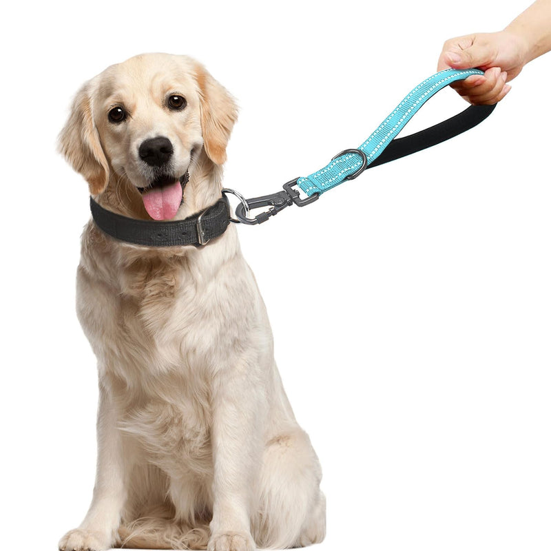 12 Inch Training Dog Short Leash with Padded Handle for Large Dogs, Dog Lead with Locking Carabiner Clip, Strong Training Leash (Blue, 12 Inch) 12 InchFT Blue - PawsPlanet Australia