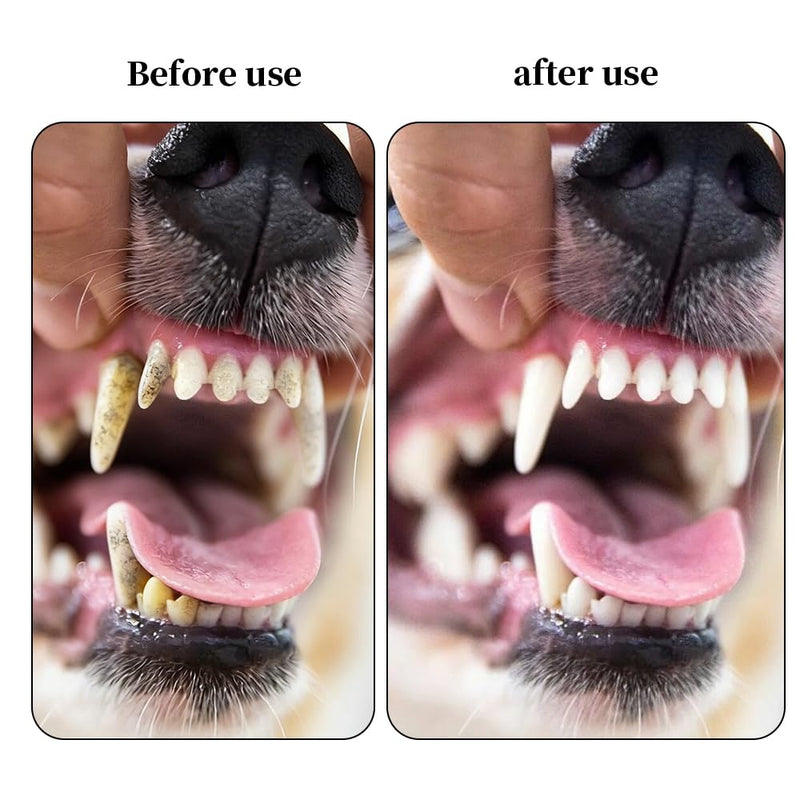 10-piece set of double-headed pet toothbrushes: Dog toothbrush for dogs and cats, long-handled dog toothbrush with soft bristles, Emmi Pet dental care set