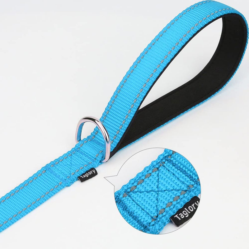 Taglory Dog Leash for Small Dogs | Double-Sided Reflective | Soft Neoprene Padded Handle | 3/4 inch by 5ft | Fit Small Medium Large Breeds Dogs Under 20lbs | Sky Blue 3/4 in x 5 ft (Pack of 1) - PawsPlanet Australia