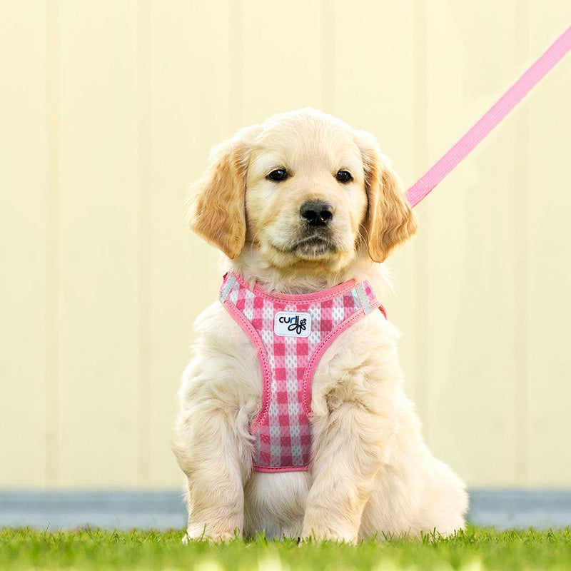 Vest Air-Mesh Pink-Circles M & Leash L rosa-circles - PawsPlanet Australia
