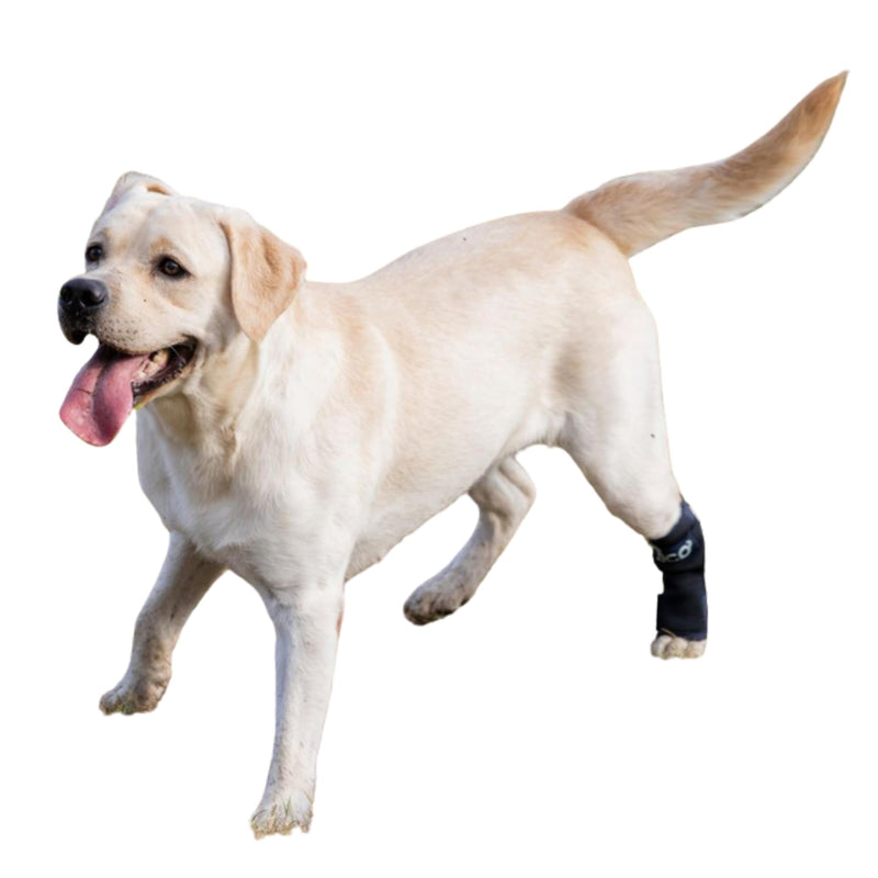 Dog Hock Brace for Ankle Support & Arthritis, Vet Approved Dog Back Leg Brace, Adjustable with Removable Splints, Orthopedic Support for Injuries, Sprains & Post-Surgery Recovery (Large) Large