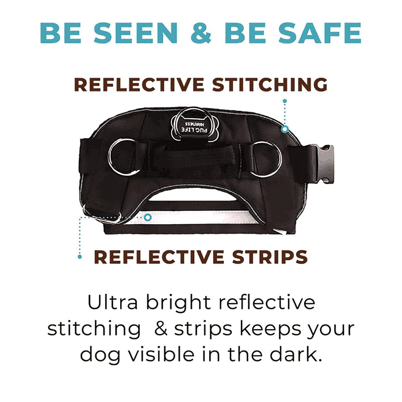 Joyride Harness for Small, Medium, Large Dogs, No-Pull Pet Harness with 3 Side Rings for Leash Placement, Adjustable Soft-Padded Vest for Training, Walking, Running, No-Choke with Easy On-Off Technology S Fall Plaid - PawsPlanet Australia