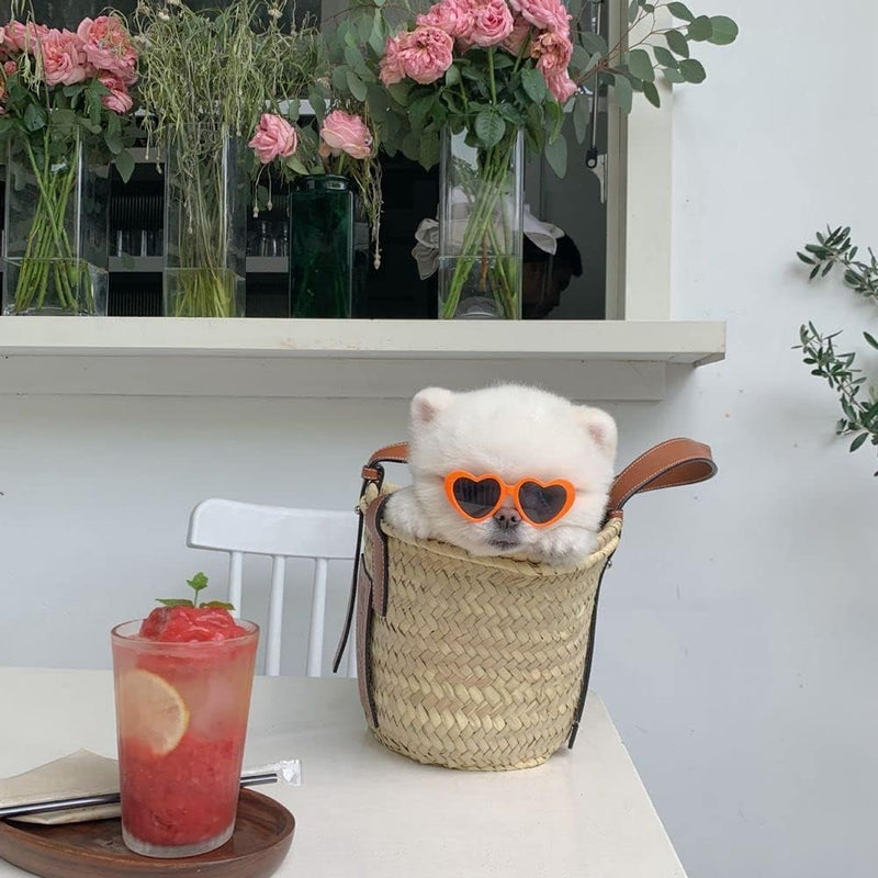 Pink Pet Heart Sunglasses Photos Props Cute Pet Dog Sunglasses Cat Glasses Sun Flower Glasses Pets Party Decor for Small Dogs Cat Accessories Cute Pet Dog Sunglasses purple - PawsPlanet Australia