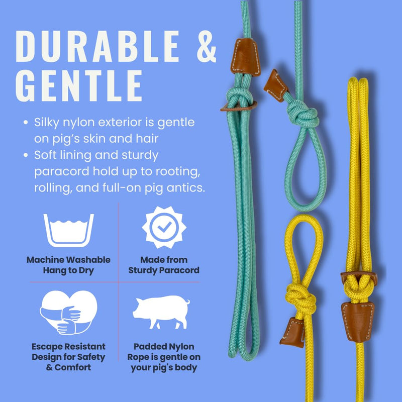 Mini Pig Harness & Leash (S/M) - Fully Adjustable, Infinity Style Lead, Step-in Harness, Potbelly Supplies, All-in-One - Ideal for Small & Medium Pet Pigs (Small, Eggshell Blue) S/M