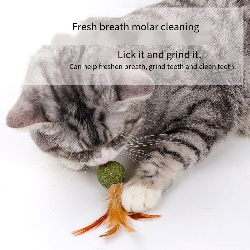 Fellblitz Brush for Cats and Dogs, 2 x Hair Brushes + 2 x Necklaces + 1 x Mint Play Ball, Self-Cleaning Cat Brush, Short Hair/Long Hair, Paw Moon Brush for Pets - PawsPlanet Australia