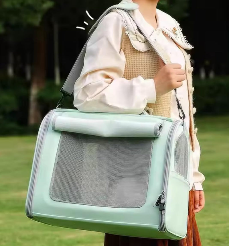 Tristan Home Premium Faux Leather Pet Carrier, Ventilated Travel Bag with Mesh Windows, Shoulder Strap, Pocket, Medium, Suitable for Pet Under 15lbs (Mint Green) Mint Green - PawsPlanet Australia