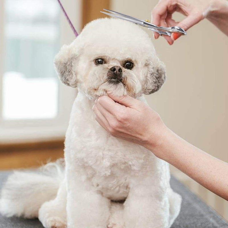 Dream Reach Professional 7" Dog Grooming Scissors - JP-440C Stainless Steel Pet Hair Cutting Shears for Trimming 7 Inch-straight Scissors - PawsPlanet Australia