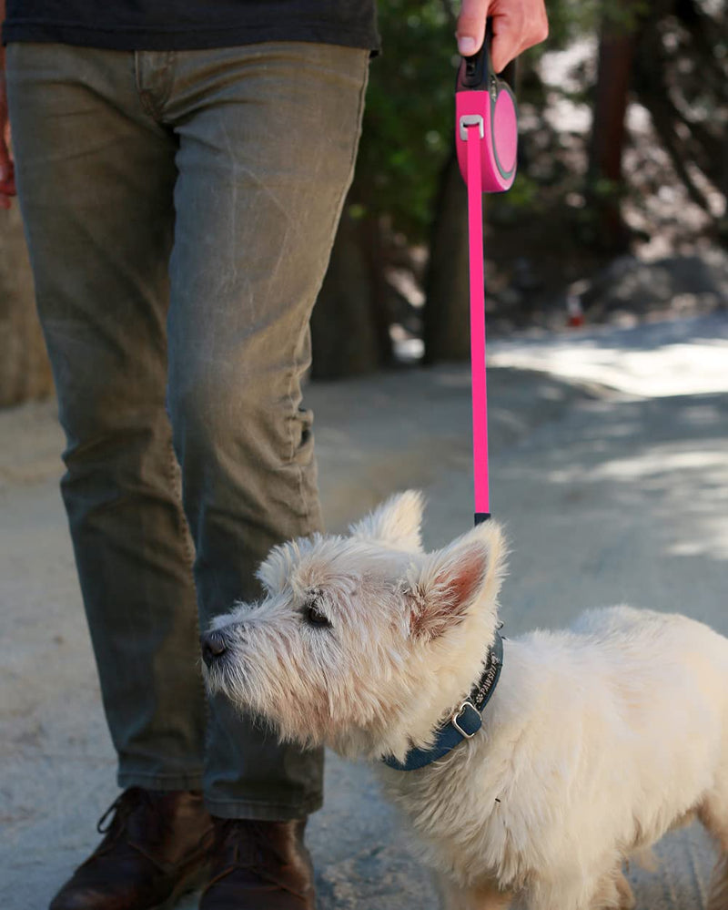 Taglory Retractable Dog Leash, 16ft No Tangle Dog Leash Retractable for Puppy Small Medium Dogs Up to 44 lbs, One-Handed Brake, Pause, Lock, Pink - PawsPlanet Australia