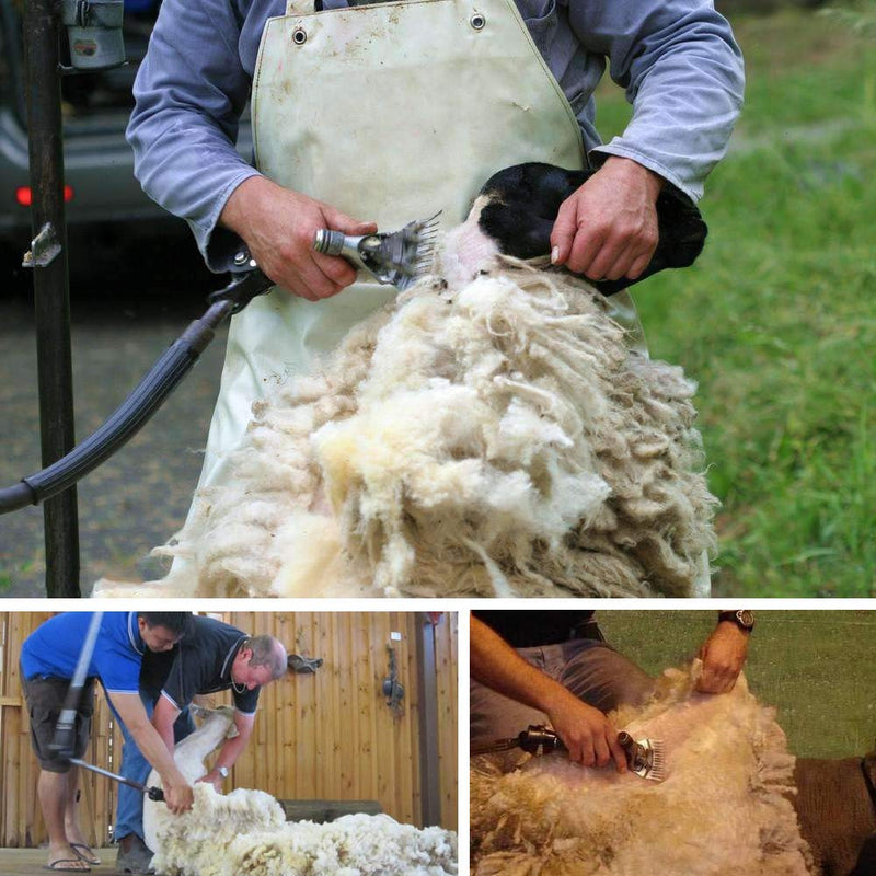 Sheep Shears Blades 9-Tooth Wool Shearing Comb and Cutter Blade Set for Alpaca Goats Wool Cutter Grooming Trimmer(9T Scimitar+Front Blade) 9T scimitar+front blade - PawsPlanet Australia