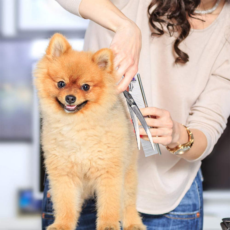 Dream Reach Professional 6.5 Inch Dogs Grooming Curved Scissors, Purple Pet Downward Curved Shears for Cat and Small Dog Shears Or Any Breed Trimming Cuts, Design for Professional Groomer Purple-down Curved