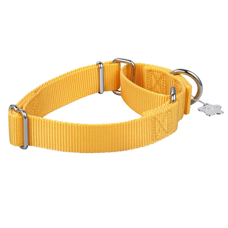 Martingale Dog Collar, Escape-Proof and No Slip Design, Heavy-Duty Nylon with Metal Buckle, Adjustable for Small, Medium & Large Dogs, Colorfast for Training, Daily Walks (BrighYellow, M) Medium: 14"-21" BrighYellow - PawsPlanet Australia