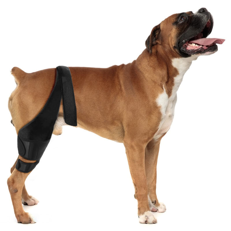 Dog Knee Brace, Dog Leg Brace for ACL Support with Cruciate Ligament Injury, Knee Cap Dislocation, Joint Pain and Muscle Sore, Adjustable Dog ACL Brace with 10 Side Stabilizers, Pet Brace (L) L - PawsPlanet Australia