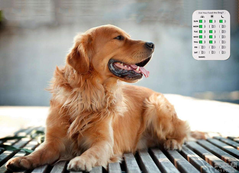 Pet Feeding Reminder for Dogs Cats - Magnetic Sticker 3 Times A Day Indication Chart Feed Your Pets, Magnets and Double Sided Tape, Did You Feed Your Dog Cat Fish Kid?