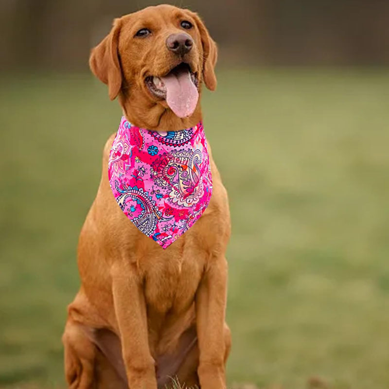 30 Pack Dog Bandanas Paisley Bulk Extral Large XL Dogs Breed Bandanas Adjustable Polyester Print One Side Triangle Bandana Girl Boy Grooming L 30Pcs Paisley -Large - PawsPlanet Australia
