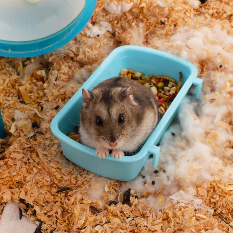 4 Pcs Small Animal Feeder Bowl Basic Dish for Hamster Mice Rat Hedgehog Small Pet