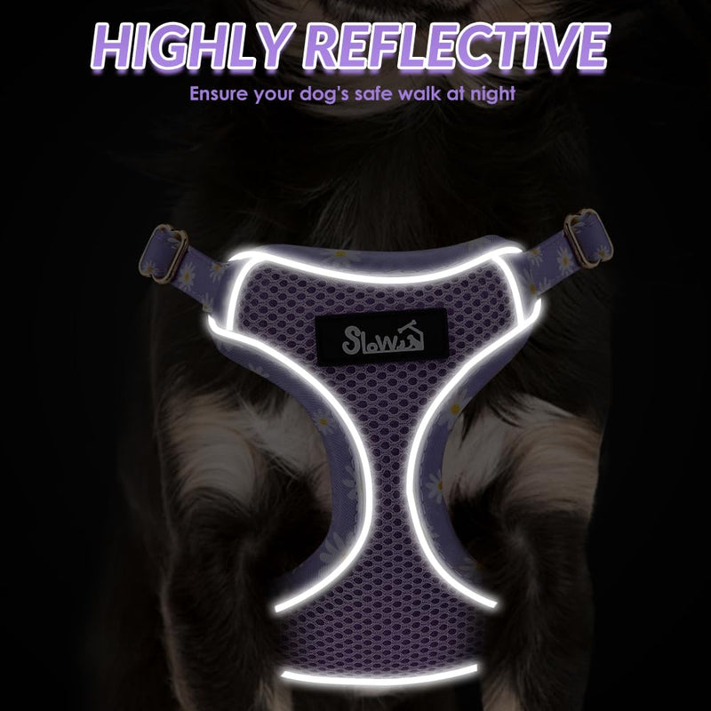 Lukovee No Pull Puppy Harness and Leash Set - Soft Lightweight Escape Proof Puppy Vest Harness, Breathable Adjustable Pet Harness with Dog Leash for Small Dogs (Purple, XXS) XX-Small (2.2-6 lb) Purple - PawsPlanet Australia