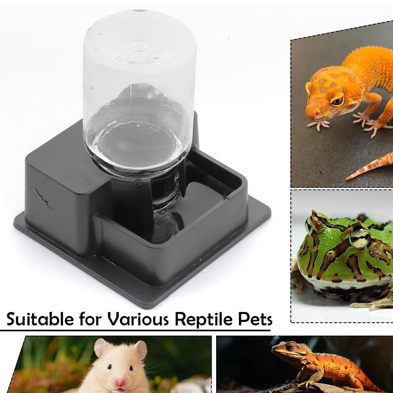 1 Pack Small Reptile Water Bowl Automatic Water Dispenser for Reptile Gecko Lizard Terrarium Bowl Feeder (Black) - PawsPlanet Australia