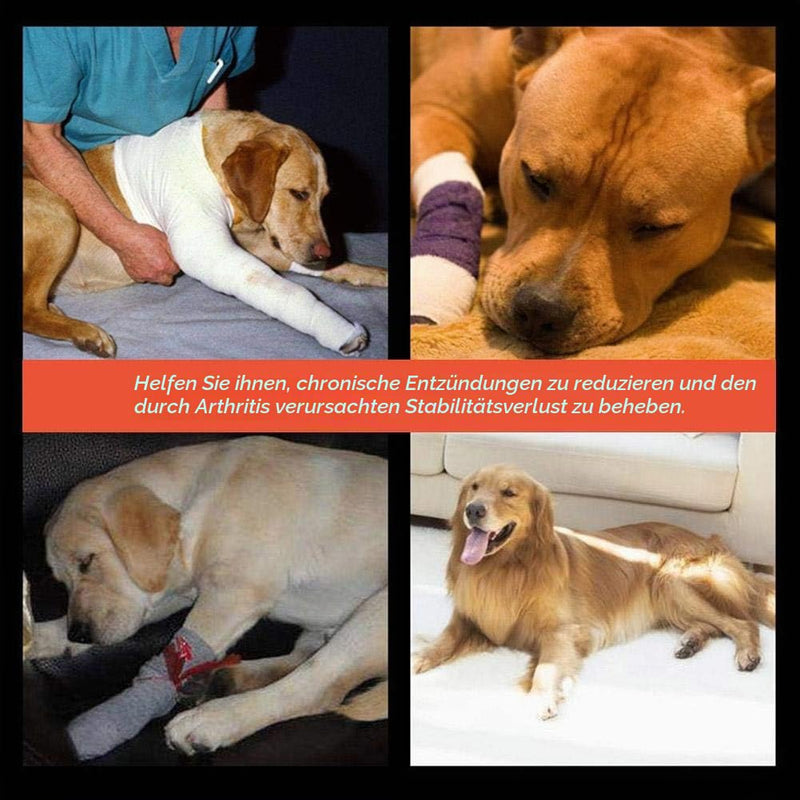 Akozon 1 Pair of Dog Front Leg Bandage, Front Leg Bandage for Dogs, Carpal Joint Pet Dog Sports Bandage, Pet Rehabilitation Bandage, Pet Bandage for Surgical Injuries (Black, S)