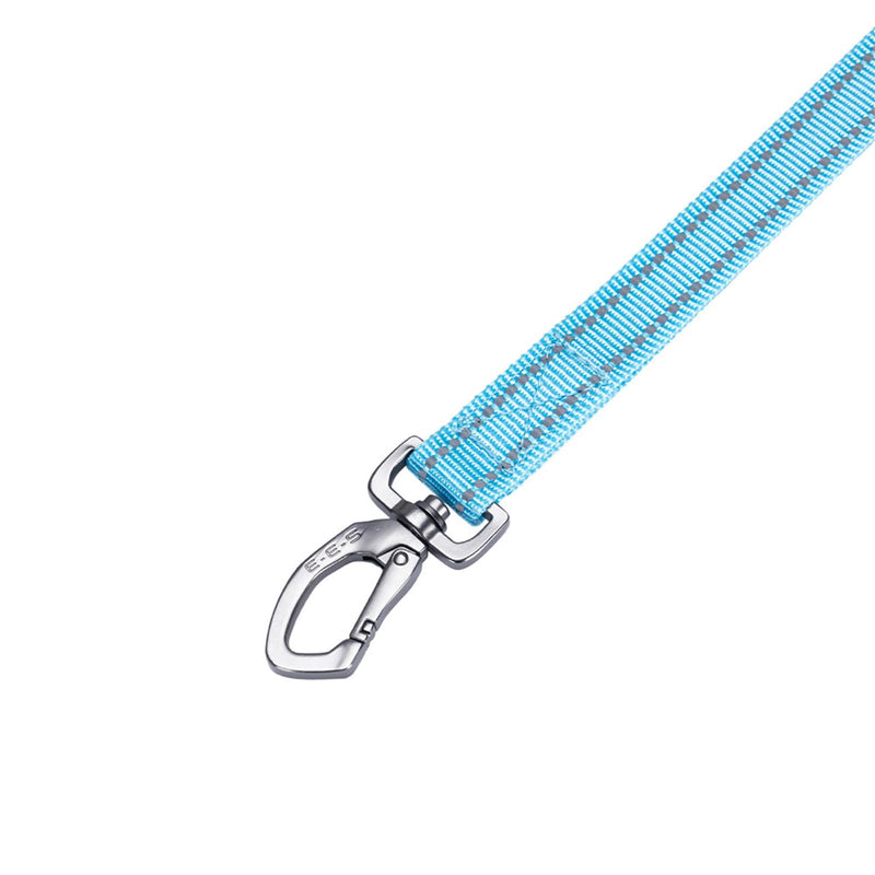 EXCELLENT ELITE SPANKER Double Layer Reflective Nylon Dog Leash Padded Handle 5 FT Nylon Dogs Leashes for Walking Training Lead for Small & Medium Dogs(Light Blue) 5ft * 3/4" Light Blue - PawsPlanet Australia