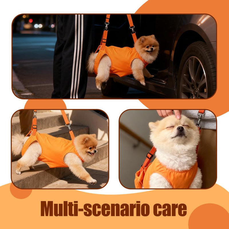 Dog Sling Harness, Adjustable Lifting Support Sling for Disabled & Elderly Dogs, Breathable Mesh with Padded Handle Dogs Cats Carrier for Walking 17 * 21 * 3