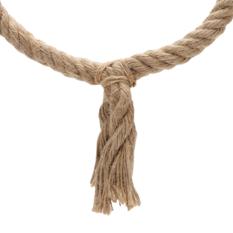 Bird Rope Swing Toy Parrot Climbing Perch Stand for Cockatiel Conure Cockatoo Parakeet Cage Hanging Decor (B: Round) B: Round - PawsPlanet Australia