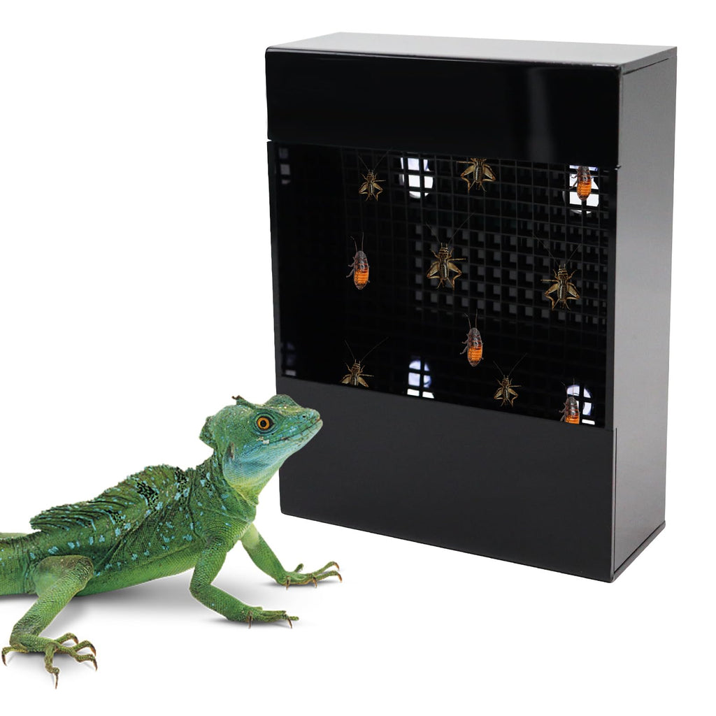 Chameleon Feeder, Bearded Dragon Bug Bowl, Black Acrylic Reptile Feeder Box, Wall-Mounted Insect Feeder with Suction Cups, Tank and Aquarium Accessories for Lizard Bearded Dragon Gecko Frog