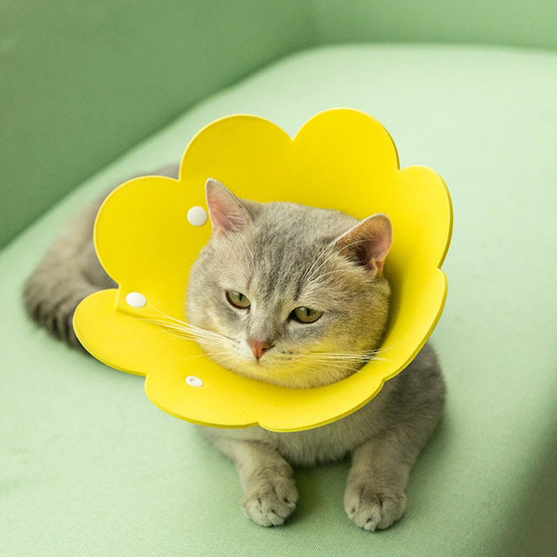 Amosfun Elizabethan Collar for Cats, 2 Pieces, Lightweight EVA Sponge Collar in Flower Shape, Yellow, Anti-Scratch and Licking Protection for Post-Surgery Protection
