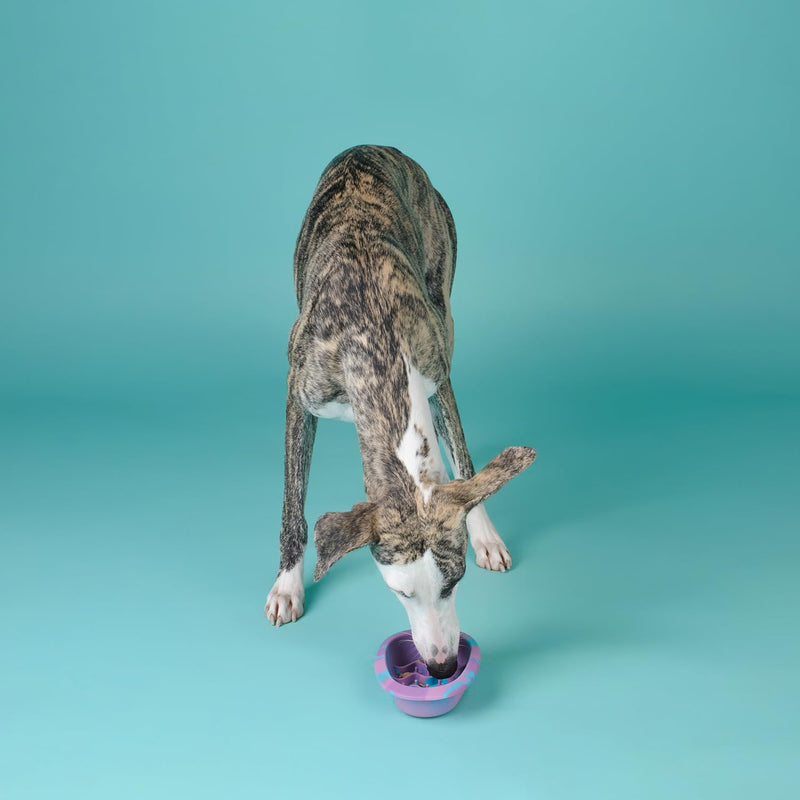 Interactive Dog Lick Mat Bowl, BPA-Free Silicone Dog Slow Feeder Bowl with Suction Cups, Non Slip Food Bowl for Dogs and Cats, Reduces Boredom and Anxiety, Dishwasher Safe, Green Small - PawsPlanet Australia