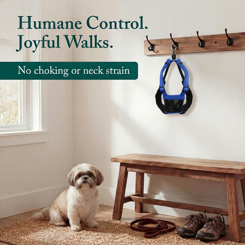 SPORN Mesh Non Pull Dog Harness Small Blue, Perfect for Training-Stops Dogs from Pulling and Choking on Walks for Small, Medium and Large Dogs, Puppy Harness, No Pull Harness, No Choke Harness - PawsPlanet Australia