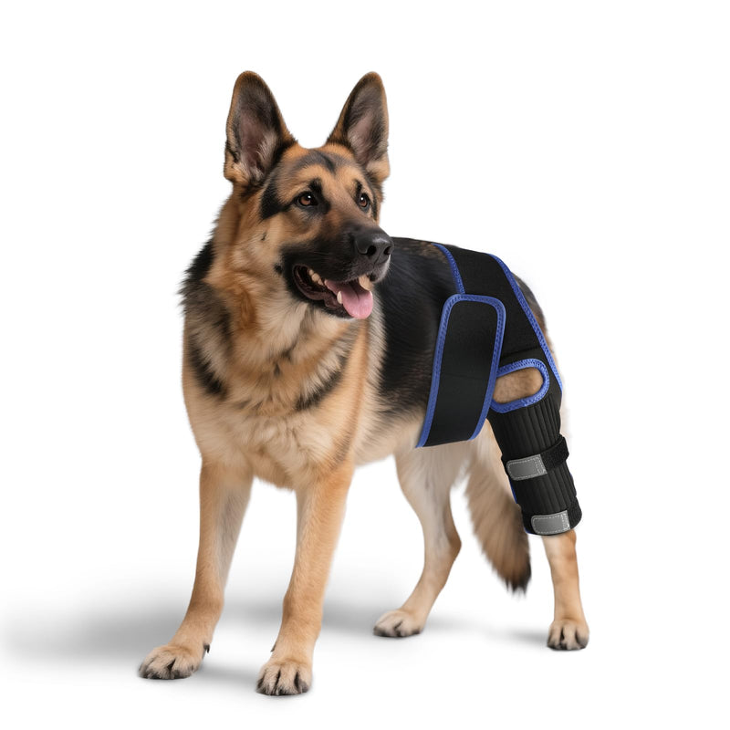 RUXAN Dog Knee Brace for Torn Acl, Dog Leg Braces for Back Leg, Knee Brace for Arthritis Pain and Support, Dogs Rear Leg Wrap Harness Set for Leg Wound Care and Lick Prevention-XL