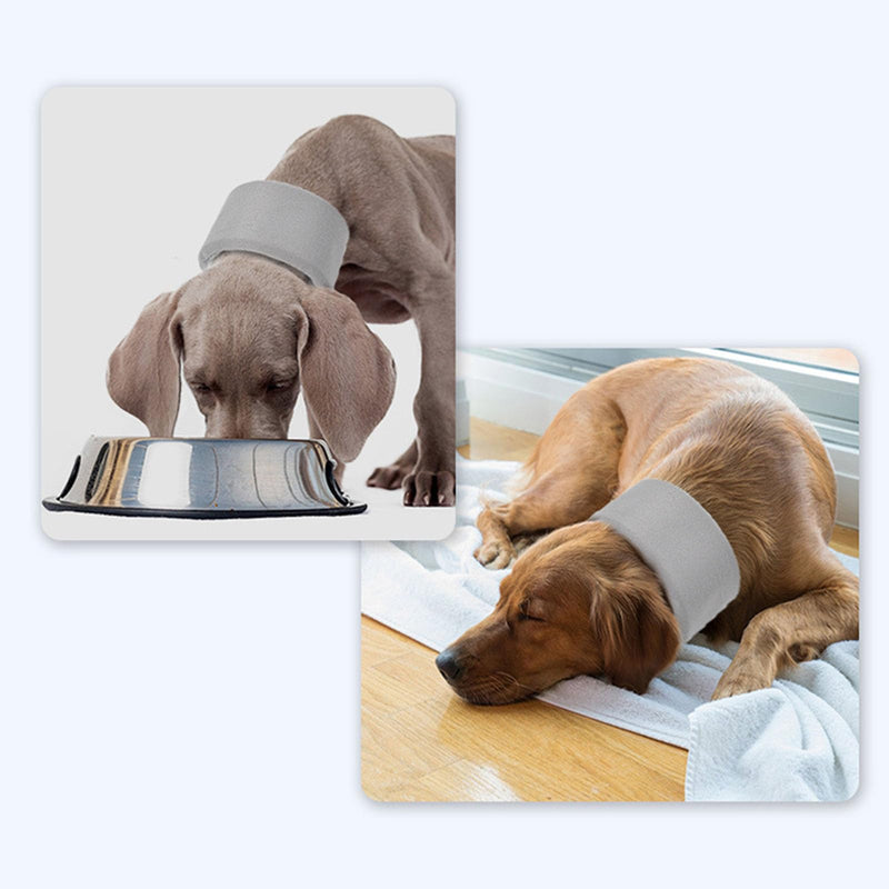 Adjustable Elizabethan Collar for Post-Surgery Recovery and Neck Support for Small to Large Pets, Breathable Dog Collar