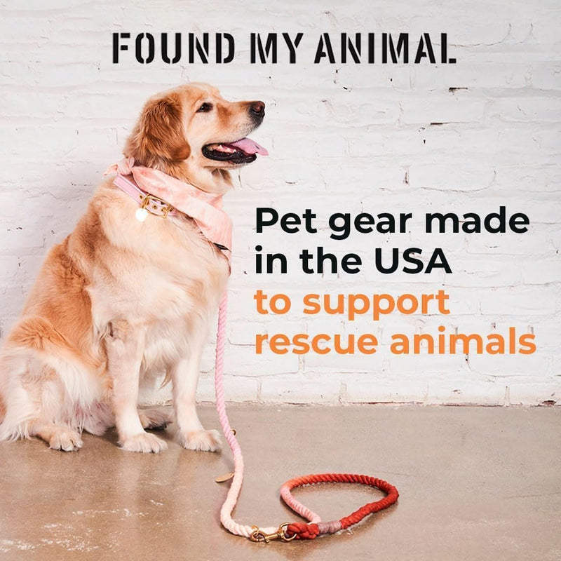 Found My Animal-The Original Pink Washable Velvet Cat & Dog Collar-(Small)-Adjustable, Solid Brass Pin Buckle-Heavy Duty Dog Training Collar- Handcrafted Velvet Pet Collar-Made in USA Small - PawsPlanet Australia