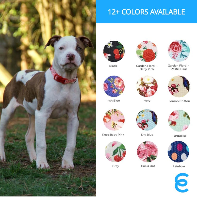 Blueberry Pet Dog Collar - Turquoise Floral Rose Print, Adjustable for Small Dogs, Neck 12"-16", Pink Puppy Collar with Eco-Friendly Buckles, Ideal Small Dog Collars for Female Dogs Grey - PawsPlanet Australia