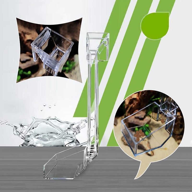 Shrimp Fish Feeding Dish, Aquarium -Sky Restaurant- Betta Feeding - Prevent Food Spilling, Fish Feeder, Also Easy to Clean Up The Food Left Over, African Feeding, Dwarf Frogs Feeding S - PawsPlanet Australia