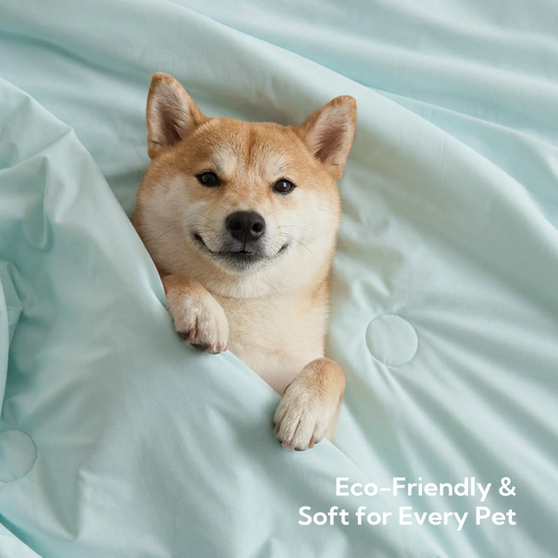 Soulbond Cooling Blanket for Extra Large Dog - Q-MAX>0.45, Washable Cool Pet Throw Blanket for Cat, Puppies, Breathable Soft Self-Cooling Dog Bed Mat for Crates Couch Sofa, 50x60 Inch, Aqua Green 50" x 60" (X-Large) - PawsPlanet Australia