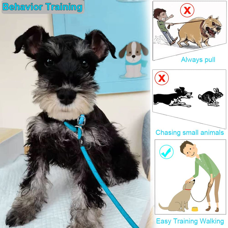 BTINESFUL 10FT / 15FT / 20FT Slip Lead Dog Leash, Reflective 1/3” Rope Leash Long Training Lead for Small Medium Dogs (20ft, Blue) 20ft * 1/3" - PawsPlanet Australia