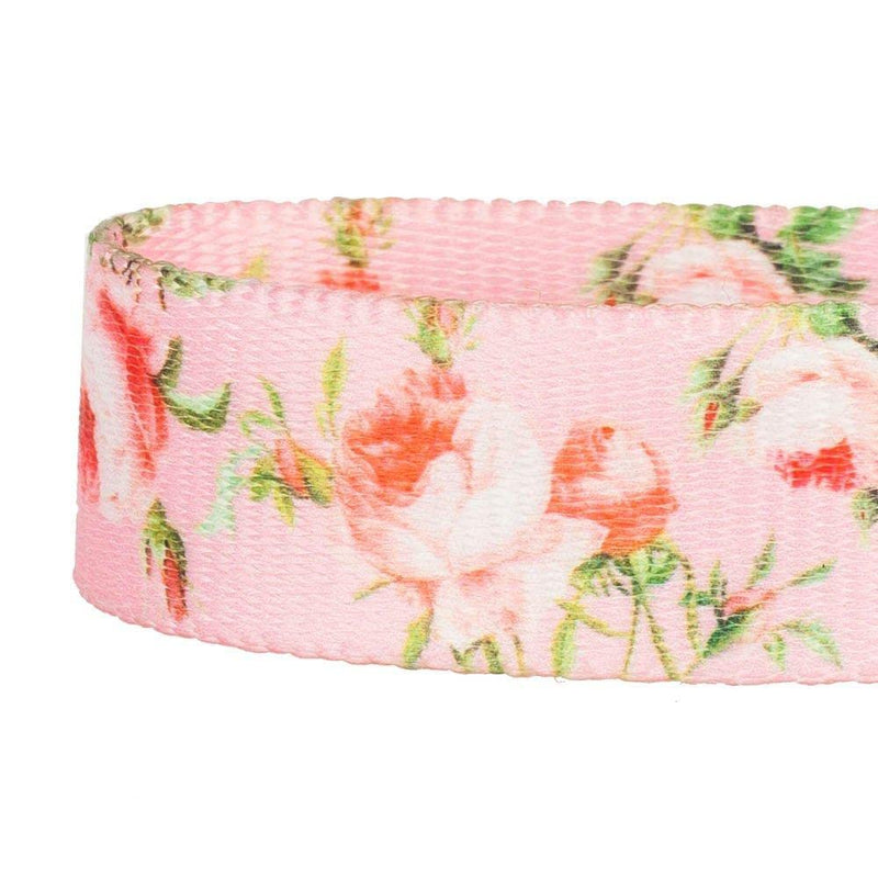 Blueberry Pet 9 Patterns Durable Spring Scent Inspired Floral Rose Baby Pink Dog Leash 5 ft x 3/8" for Puppy, X-Small, Leashes for Dogs - PawsPlanet Australia