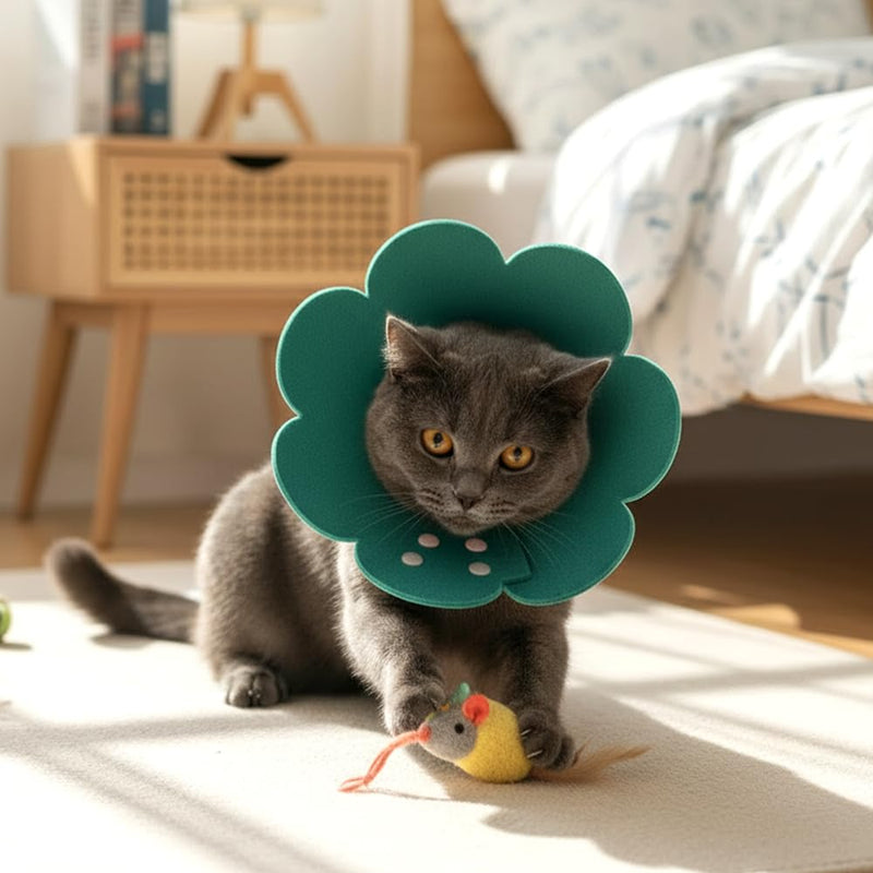 Collar for Cats/Puppy, 3 Pieces Anti Bite Cat Protective Collar, Soft Adjustable Protective Collar for Cats Small Dogs After Surgery l