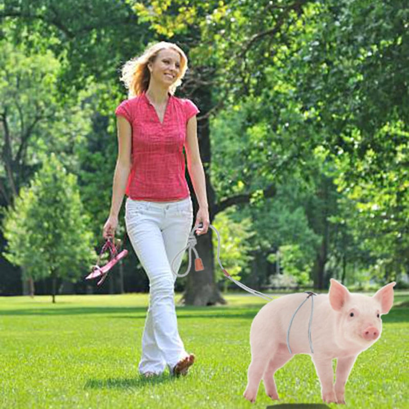 Pig Harness & Leash, Escape Prevention Adjustable Rope, All in One Design, All Life Stages Small to Medium Mini Pigs-5 Feet Long-Grey Grey - PawsPlanet Australia