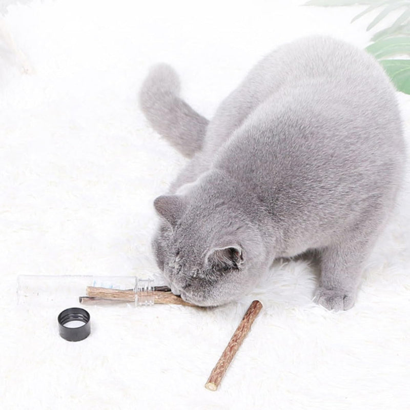 SOIMISS Wooden Cat Chew Toy with Natural Actinidia Polygama Portable Teeth Grinding Stick for Puppies and Pets 5 Pieces Brown for Travel and Teeth Cleaning