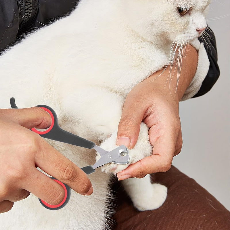 Cat Nail Clipper, Pet Nail Trimmers Bird Claw Scissors Stainless Steel Parrot Cage Essential Grooming Tool for Small Animals Ferrets Bunny Kitten Hamsters Rabbit Puppy Precision Sharp Cut - PawsPlanet Australia